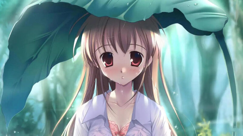 京东采集全自动挂机，全网最新玩法，新手一天轻松500+-项目网