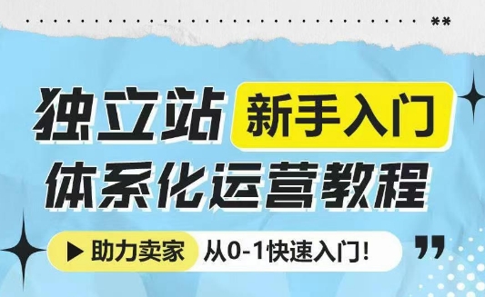 独立站新手入门体系化运营教程，助力独立站卖家从0-1快速入门!-项目网