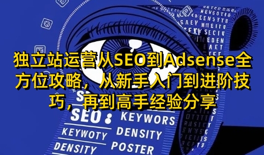 独立站运营从SEO到Adsense全方位攻略，从新手入门到进阶技巧，再到高手经验分享-项目网