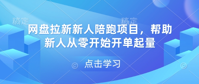 网盘拉新新人陪跑项目，帮助新人从零开始开单起量-项目网
