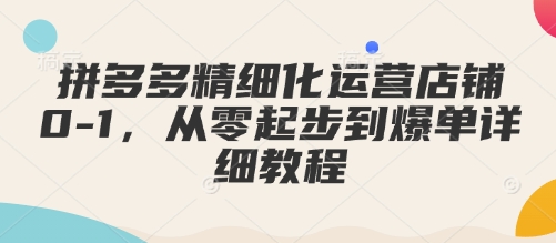 拼多多精细化运营店铺0-1，从零起步到爆单详细教程-项目网