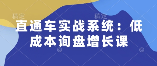 直通车实战系统：低成本询盘增长课，让个人通过技能实现升职加薪，让企业低成本获客，订单源源不断-项目网