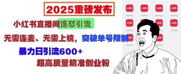 2025重磅发布：小红书直播间连怼引流，无需连麦、无需上镜，突破单号限制，暴力日引流600+-项目网
