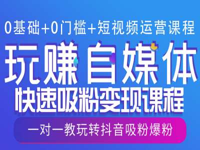 0基础+0门槛+短视频运营课程，玩赚自媒体快速吸粉变现课程，一对一教玩转抖音吸粉爆粉-项目网
