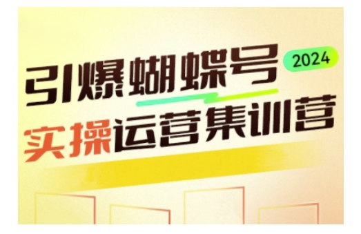 引爆蝴蝶号实操运营，助力你深度掌握蝴蝶号运营，实现高效实操，开启流量变现之路-项目网