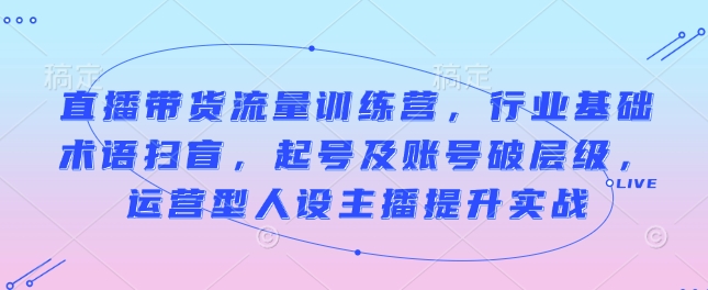 直播带货流量训练营，行业基础术语扫盲，起号及账号破层级，运营型人设主播提升实战-项目网