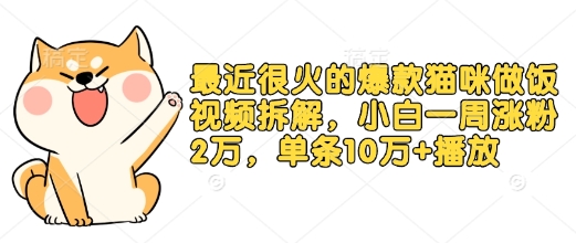 最近很火的爆款猫咪做饭视频拆解，小白一周涨粉2万，单条10万+播放(附保姆级教程)-项目网