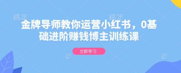 金牌导师教你运营小红书，0基础进阶赚钱博主训练课-项目网