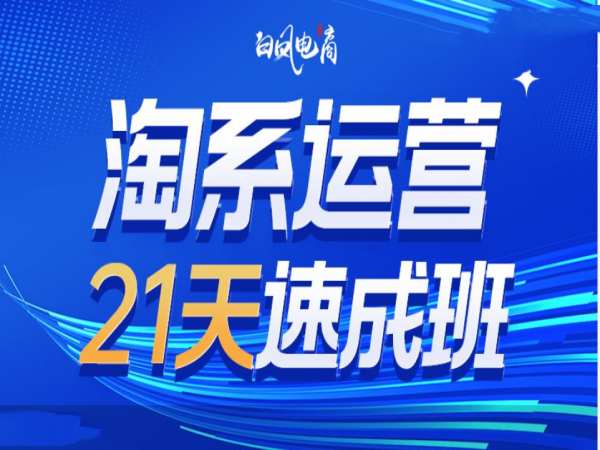 淘系运营21天速成班35期，年前最后一波和2025方向-项目网