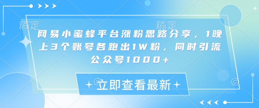 网易小蜜蜂平台涨粉思路分享，1晚上3个账号各跑出1W粉，同时引流公众号1000+-项目网