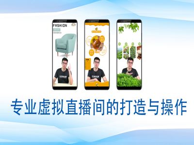 个人虚拟直播间的搭建与操作，专业虚拟直播间的打造与操作-项目网
