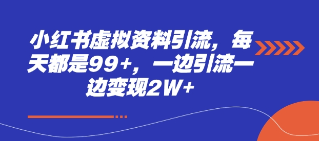 小红书虚拟资料引流，每天都是99+，一边引流一边变现2W+-项目网
