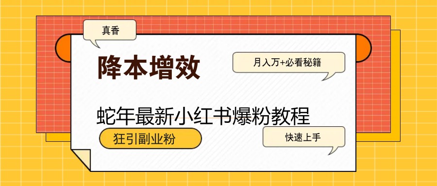 蛇年最新小红书爆粉教程，狂引副业粉，月入万+必看-项目网