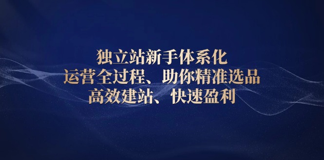 独立站新手体系化 运营全过程，助你精准选品、高效建站、快速盈利-项目网