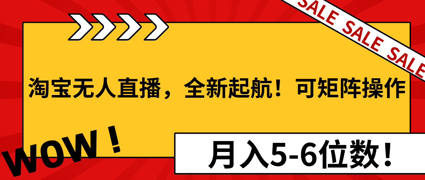 淘宝无人直播，全新起航！可矩阵操作，月入5-6位数！-项目网