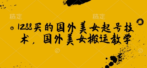 1288买的国外美女起号技术，国外美女搬运教学-项目网