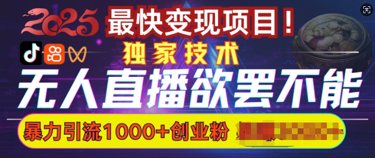 欲罢不能的无人直播引流，超暴力日引流1000+高质量精准创业粉-项目网