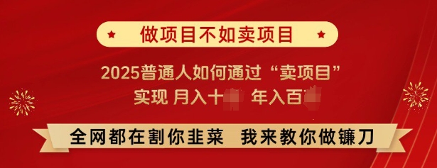 必看，做项目不如卖项目，2025普通人如何通过“卖项目”实现月入十个，年入百个-项目网
