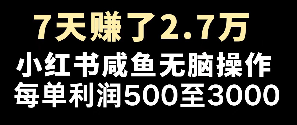 最赚钱项目之一，2025爆火，逆风翻盘！-项目网