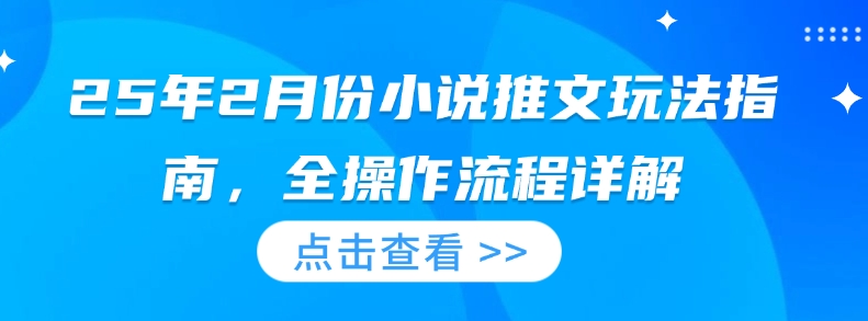 25年2月份小说推文玩法指南，全操作流程详解-项目网