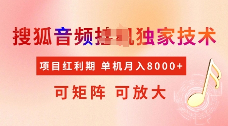 全网首发搜狐音频挂JI独家技术，项目红利期，可矩阵可放大，稳定月入8k【揭秘】-项目网