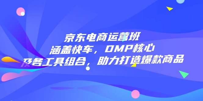 京东电商运营班：涵盖快车，DMP核心及各工具组合，助力打造爆款商品-项目网