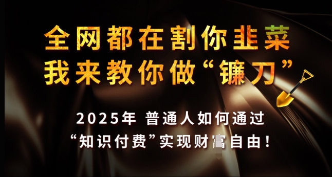 全网都在割你韭菜，我来教你做镰刀，2025年普通人如何通过 知识付费 实现财F自由【揭秘】-项目网