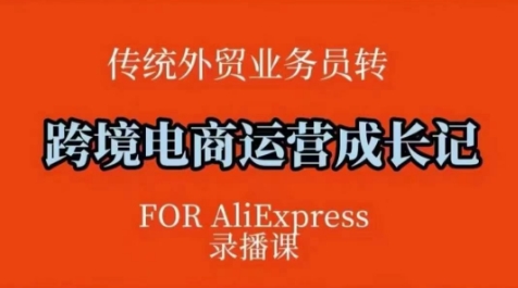 跨境电商速卖通运营课，​运营方法论+后台实操，逻辑清晰-项目网