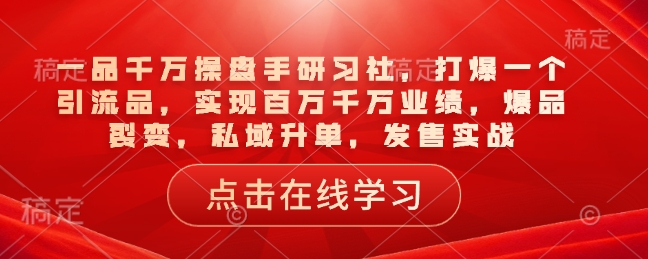 一品千万操盘手研习社，打爆一个引流品，实现百万千万业绩，爆品裂变，私域升单，发售实战-项目网