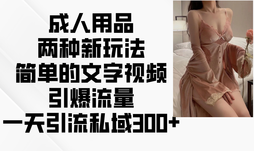 成人用品两种新玩法，简单的文字视频引爆流量，一天引流私域300+-项目网