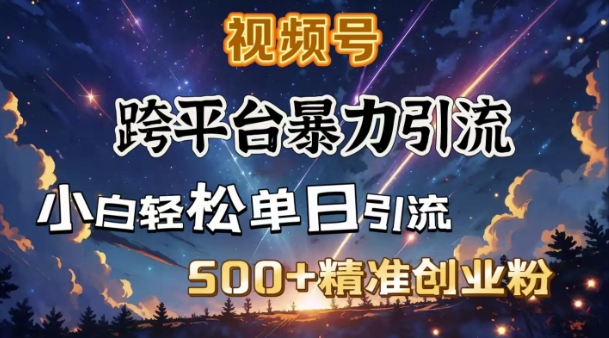 跨平台暴力引流，私域完美闭环，日引500+精准创业粉-项目网