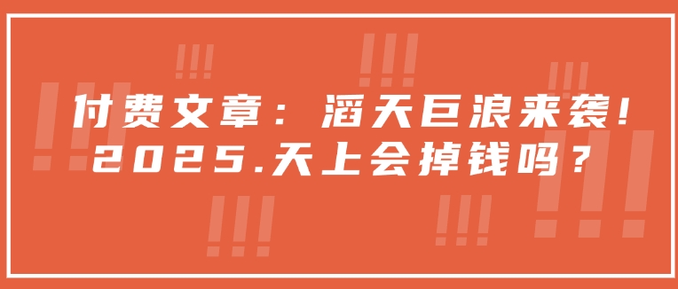 付费文章：滔天巨浪来袭！2025天上会掉钱吗？-项目网