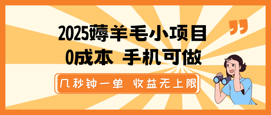 2025薅羊毛小项目，0成本 手机可做，几秒钟一单，收益无上限-项目网