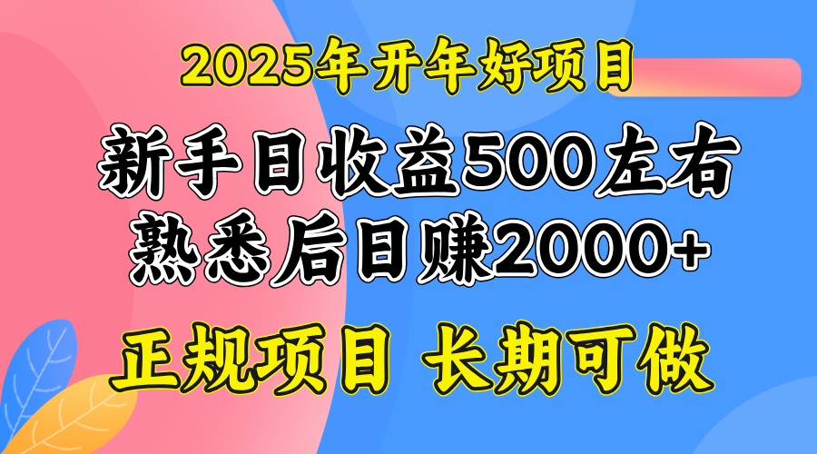 2025开年好项目，单号日收益2000左右-项目网