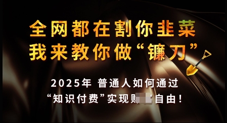 知识付费如何做到月入过W+，2025我来教你做“镰刀”【揭秘】-项目网