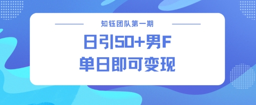 男粉引流新方法不违规，当日即可变现-项目网