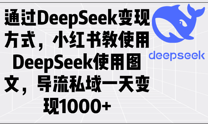 通过DeepSeek变现方式，小红书教使用DeepSeek图文，导流私域一天变现1000+-项目网