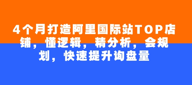 4个月打造阿里国际站TOP店铺，懂逻辑，精分析，会规划，快速提升询盘量-项目网