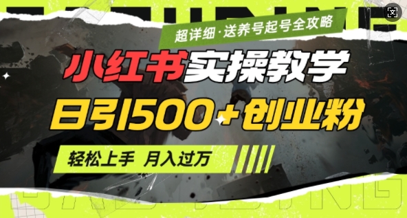 2月小红书最新日引500+创业粉实操教学【超详细】小白轻松上手，月入1W+，附小红书养号起号SOP-项目网