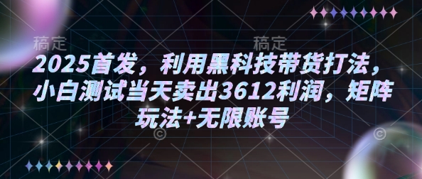2025首发，利用黑科技带货打法，小白测试当天卖出3612利润，矩阵玩法+无限账号【揭秘】-项目网