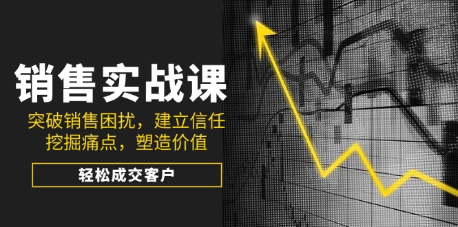 销售实战课，突破销售困扰，建立信任，挖掘痛点，塑造价值，轻松成交客户-项目网