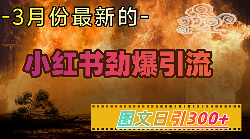 小红书超劲爆引流手段，图文日引300+轻松变现1W-项目网