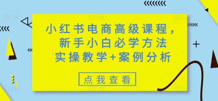 小红书电商高级课程，新手小白必学方法，实操教学+案例分析-项目网