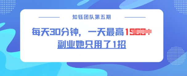 副业她只用了1招，每天30分钟，无脑二创，一天最高1.5k-项目网