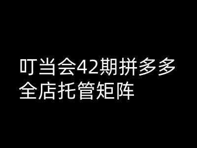叮当会拼多多打爆班原创高阶技术第42期，拼多多全店托管矩阵-项目网