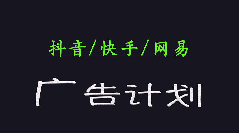 2025短视频平台运营与变现广告计划日入1000+，小白轻松上手-项目网