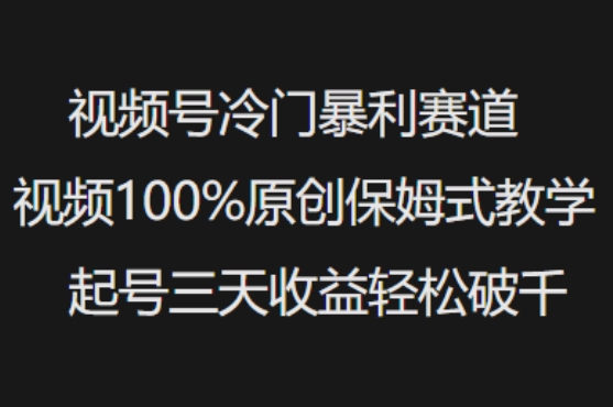 视频号冷门暴利赛道视频100%原创保姆式教学起号三天收益轻松破千-项目网