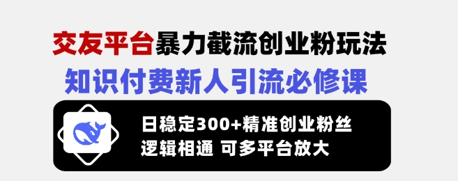 交友平台暴力截流创业粉玩法，知识付费新人引流必修课，日稳定300+精准创业粉丝，逻辑相通可多平台放大-项目网