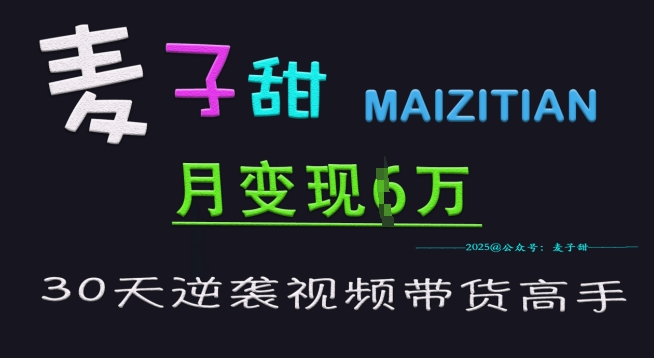 麦子甜30天逆袭视频带货高手，单月变现6W加特训营-项目网