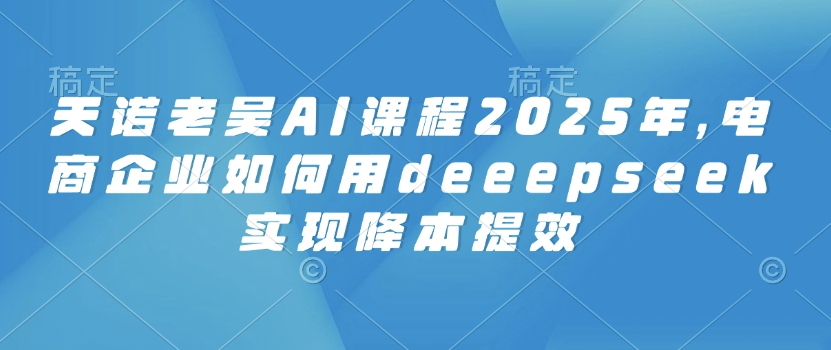 天诺老吴AI课程2025年，电商企业如何用deeepseek实现降本提效-项目网